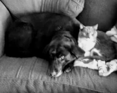 26730787_10214066787720126_7412621362942277518_n