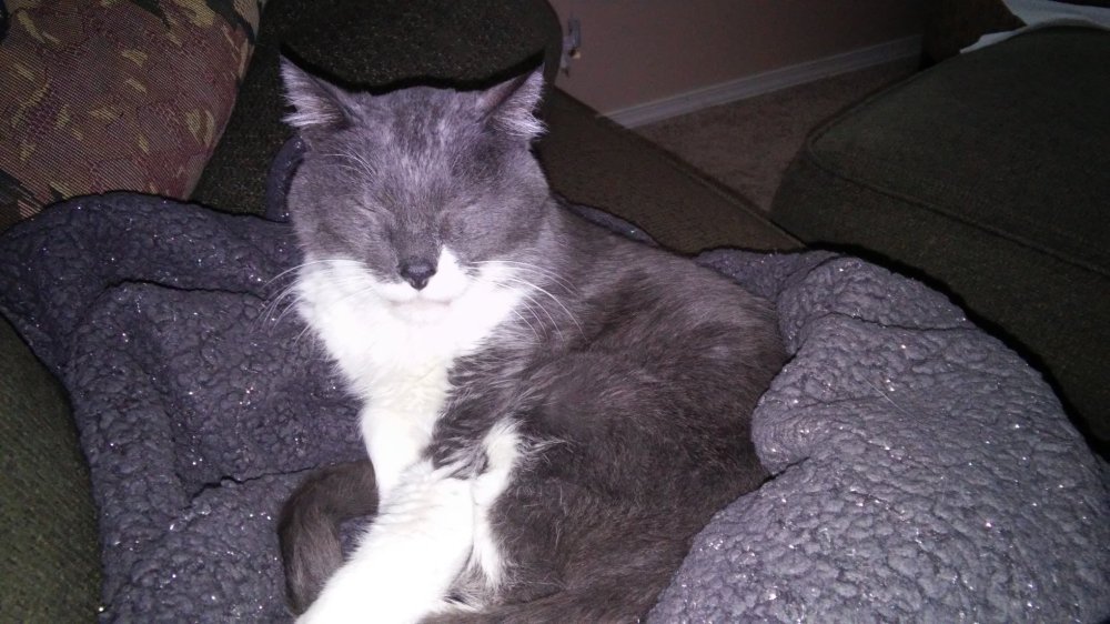 55887764_10217451343011893_6369591844640129024_o